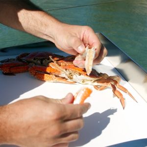 Sheet Bait Board video image