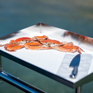 Stainless Sheet bait board Australia