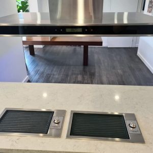 Eclipse BBQ, Reversible cast iron flat plate and griddle bbq