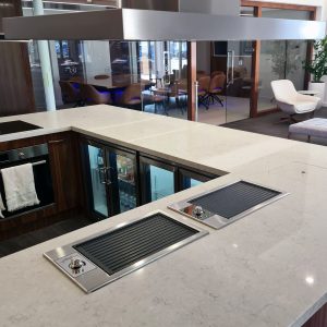 Eclipse BBQ, Reversible flat plate and griddle bbq