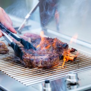 Infinity Grill Plate Gas Grill BBQ