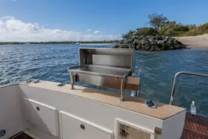 Deluxe Electric Portable BBQ-Boat BBQ