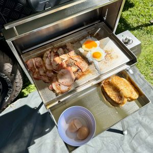 Classic Electric Portable BBQ-Caravan Cooking