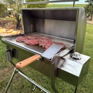 Classic Electric Portable BBQ-Grilling Outdoors