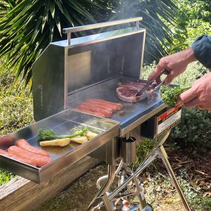 Classic Gas Portable BBQ-Outdoor Cooking